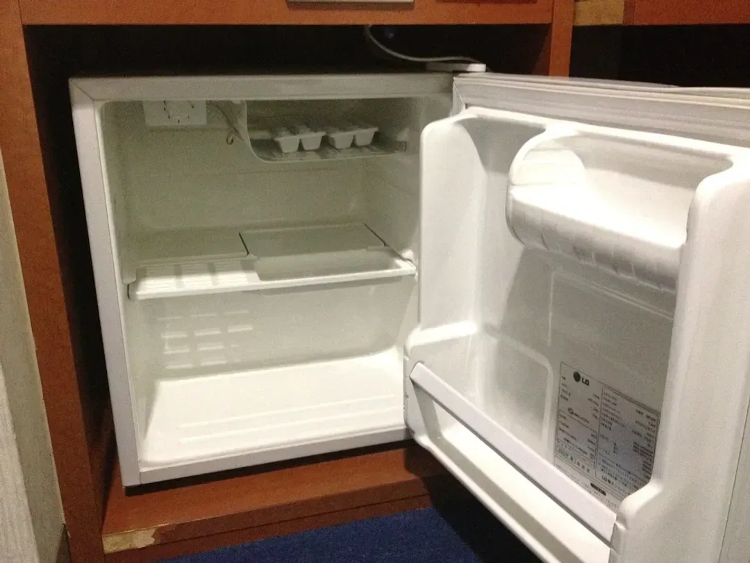 Mini-refrigerator