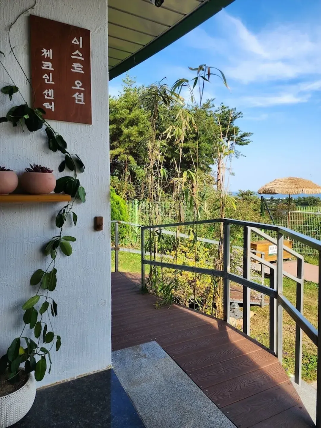 江原道-齊奧松樹飯店