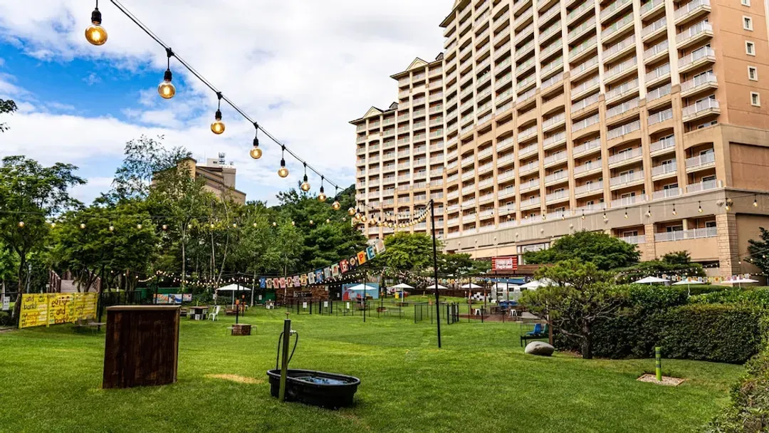 江原道-Sono Pet Clubs & Resorts Vivaldi Park