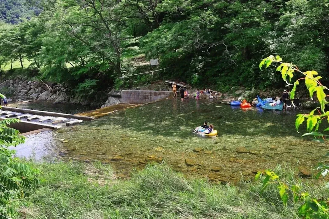Primary image