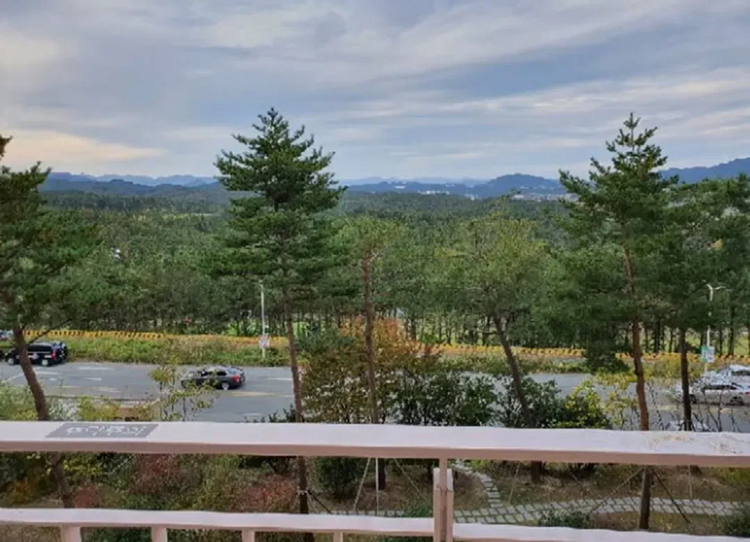 View from room