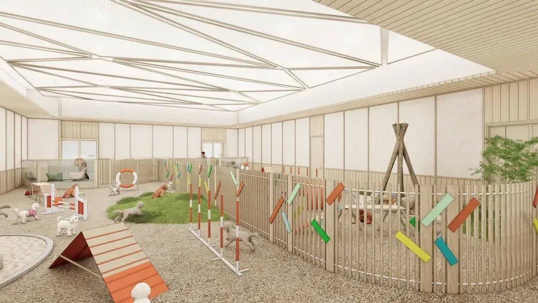 Pet-friendly amenities