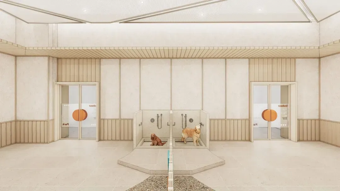 Pet-friendly amenities