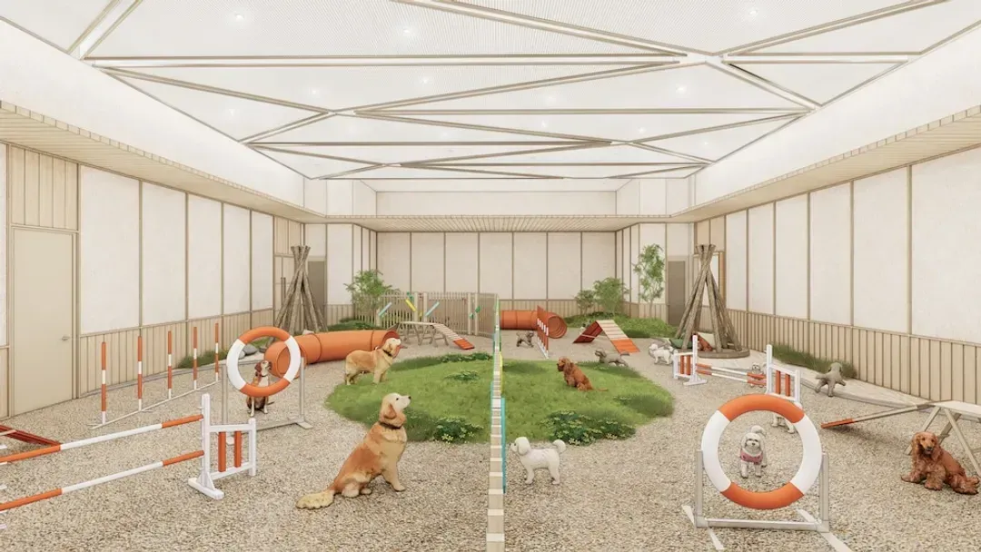 Pet-friendly amenities