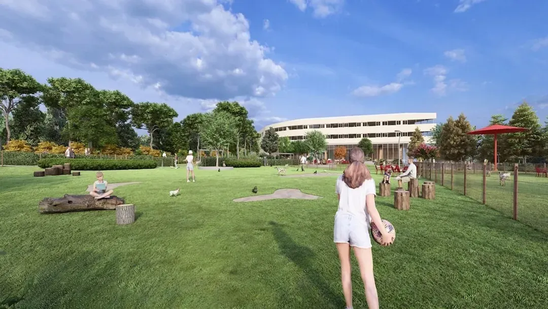 Pet-friendly amenities