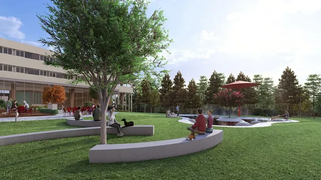 Pet-friendly amenities