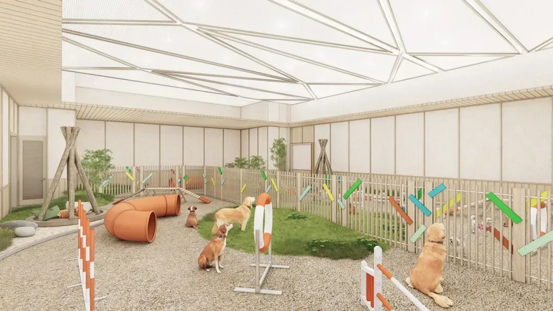 Pet-friendly amenities