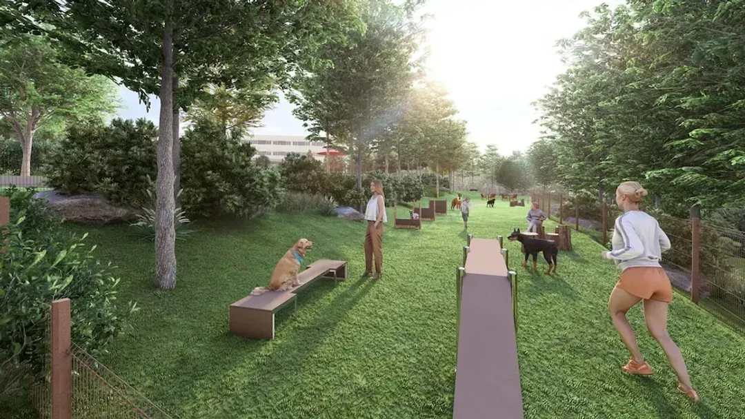 Pet-friendly amenities