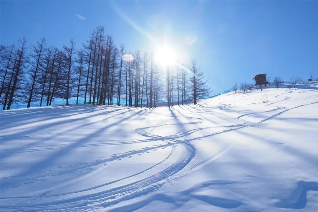 【主題旅遊】青森之泉滑雪5日遊(青森進出)-7