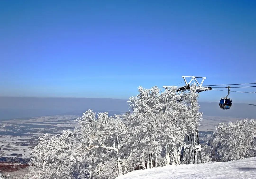 【主題旅遊】青森之泉滑雪5日遊(青森進出)-8