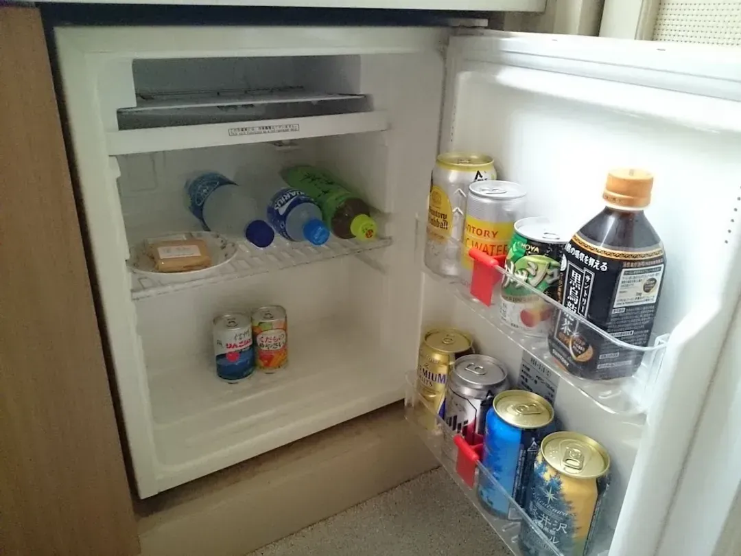 Mini-refrigerator