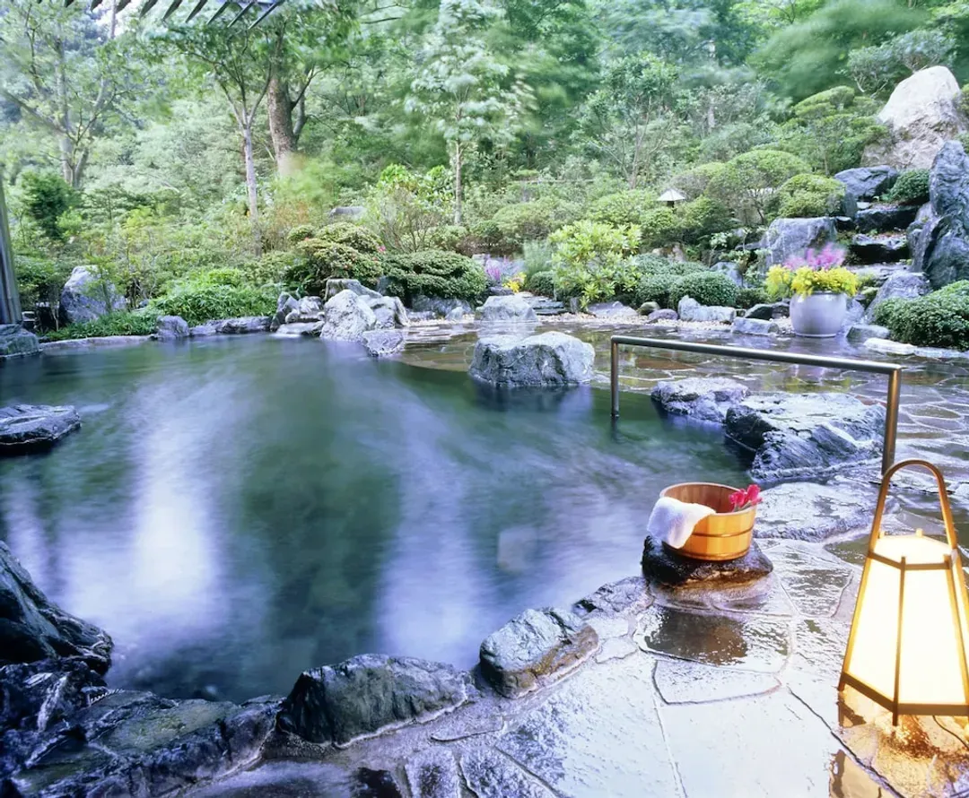 Natural pool