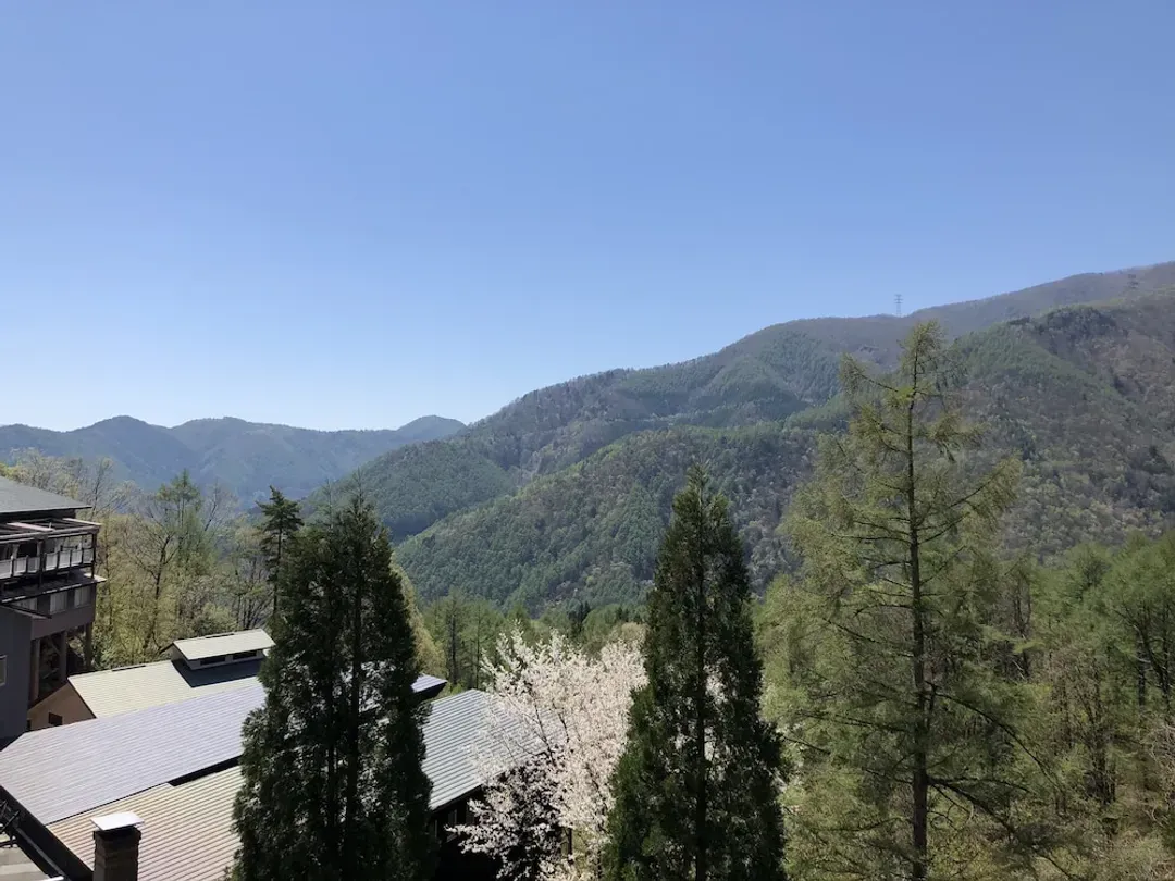 View from room