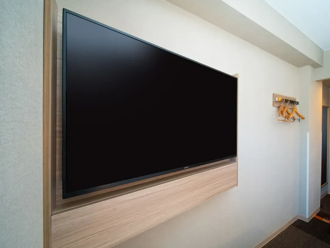 Television