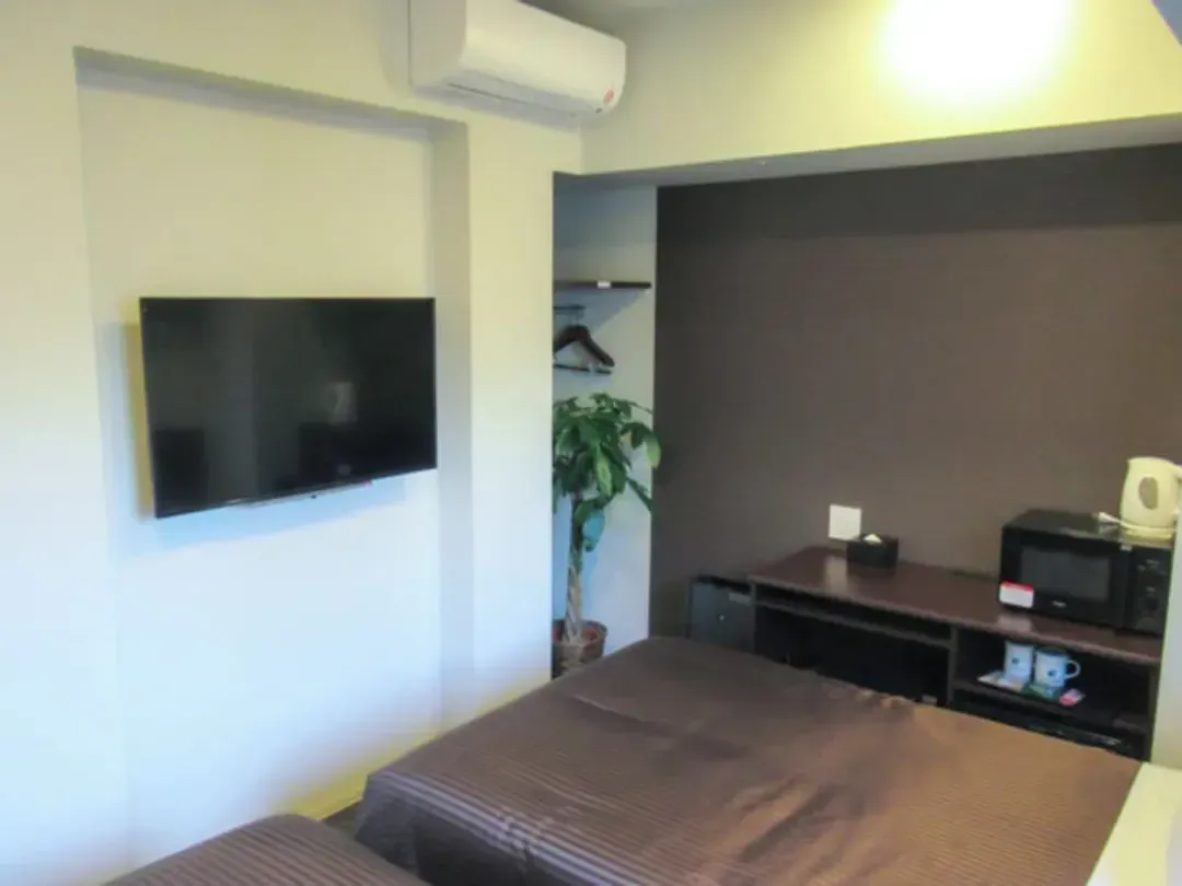 Television