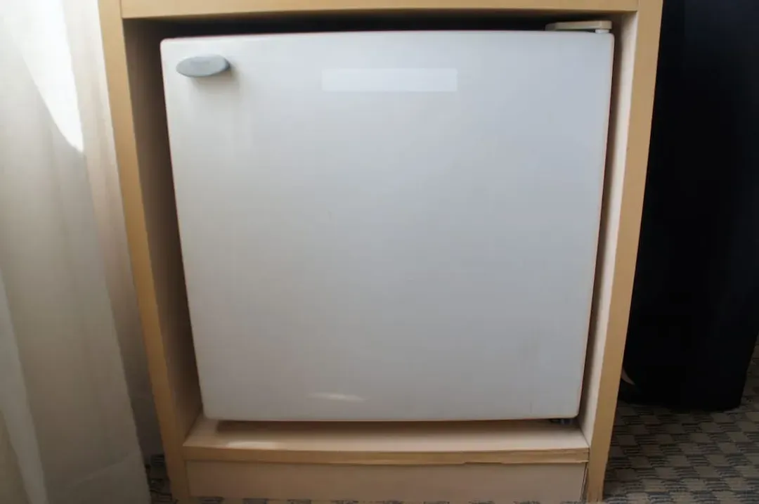 Mini-refrigerator