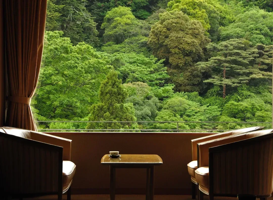 View from room