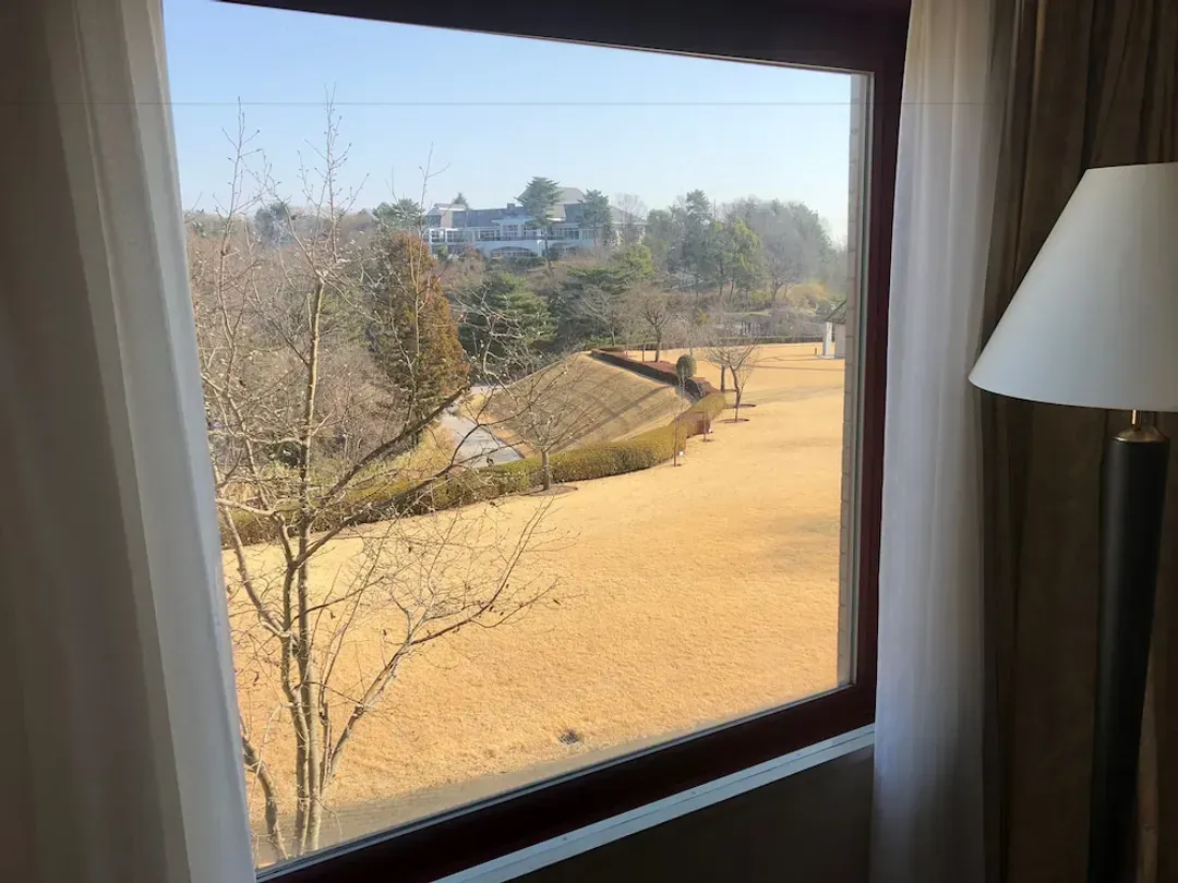 View from room