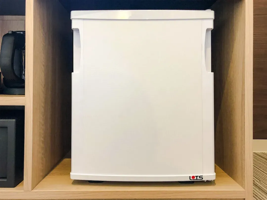 Mini-refrigerator