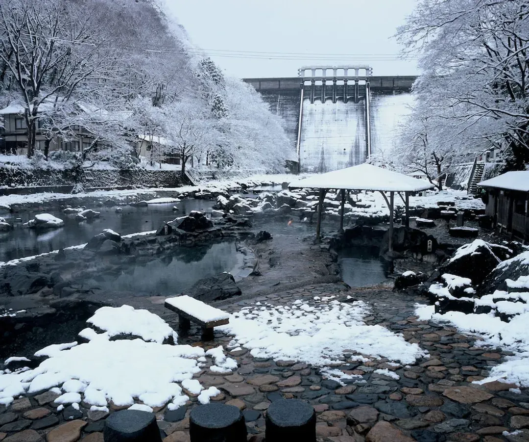 Natural pool