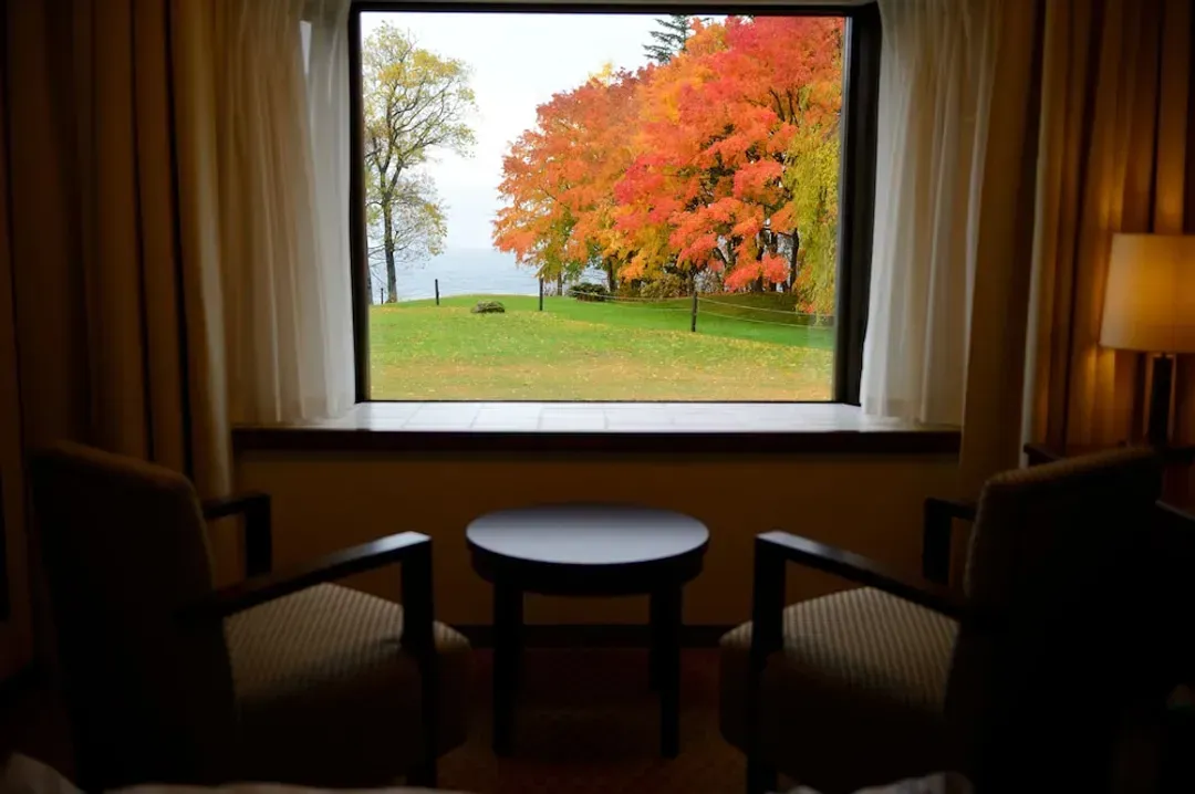 View from room