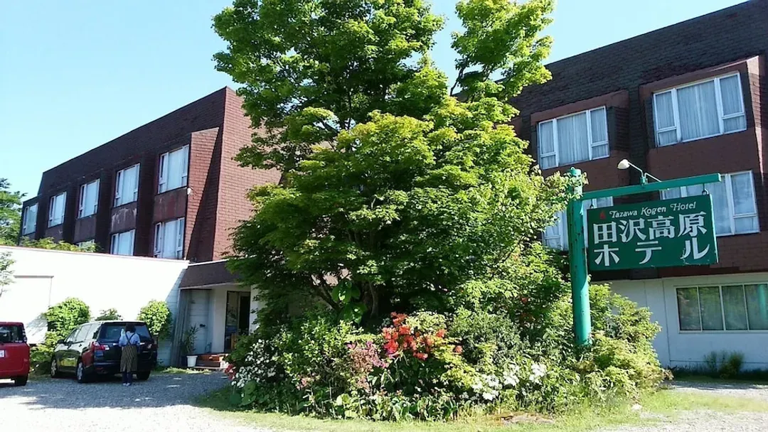 Primary image