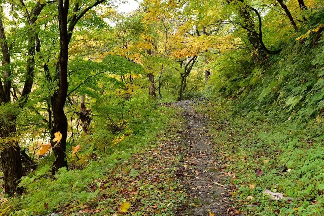 Hiking