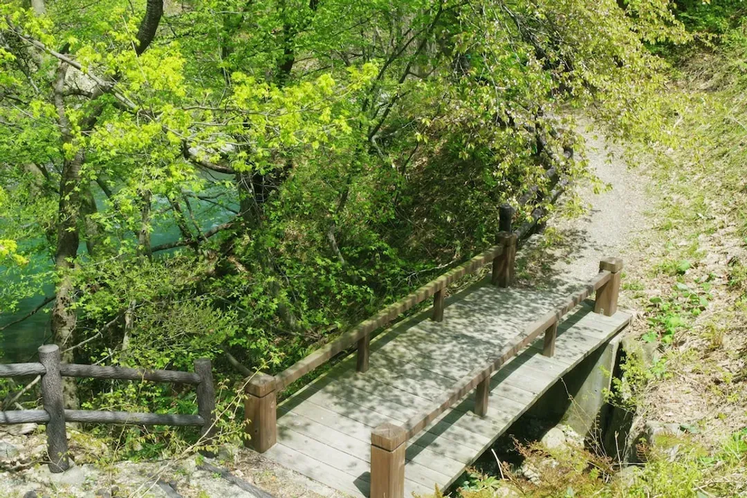 Hiking