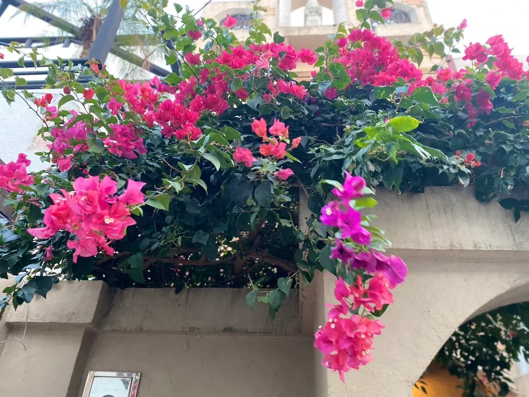 Liangnan Bay package bed and breakfast