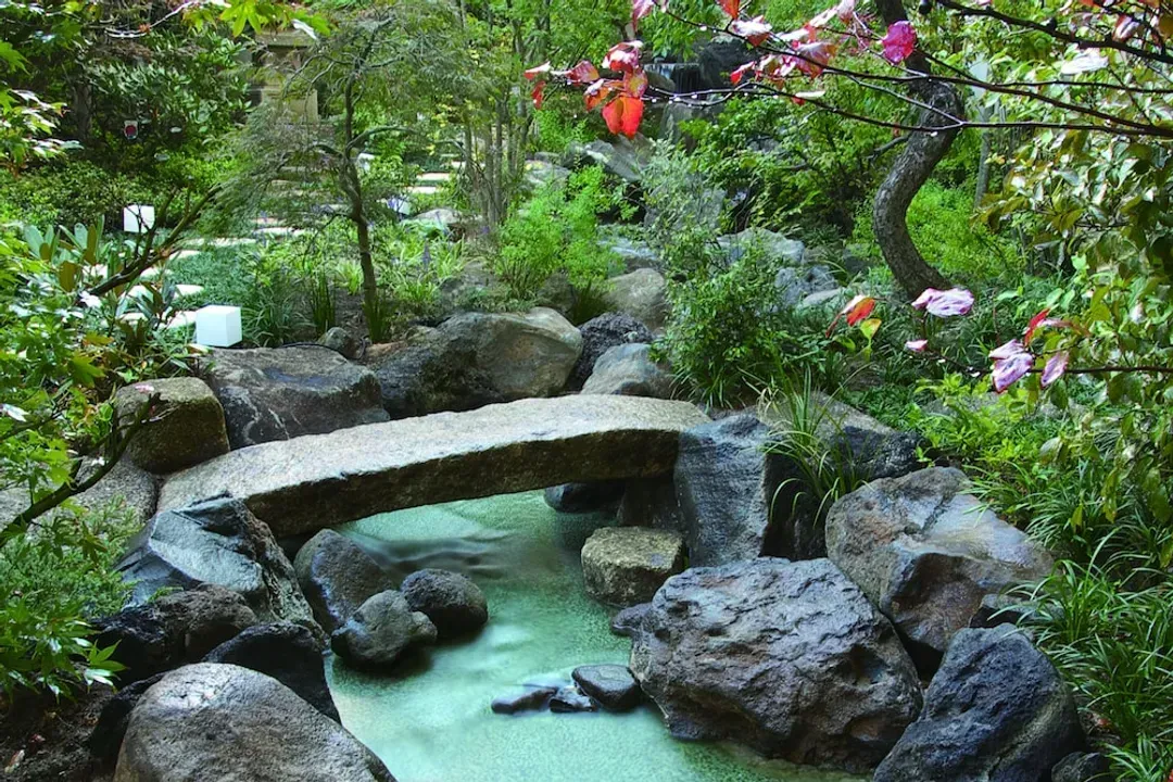 Japanese garden
