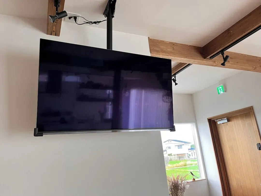 Television