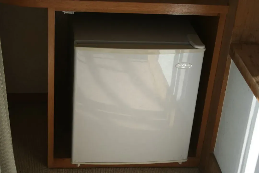 Mini-refrigerator
