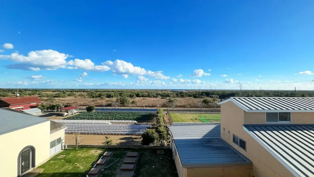Garden view