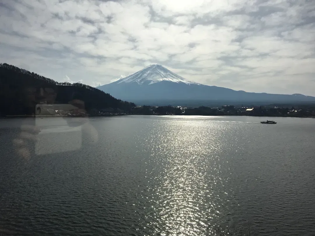 View from room
