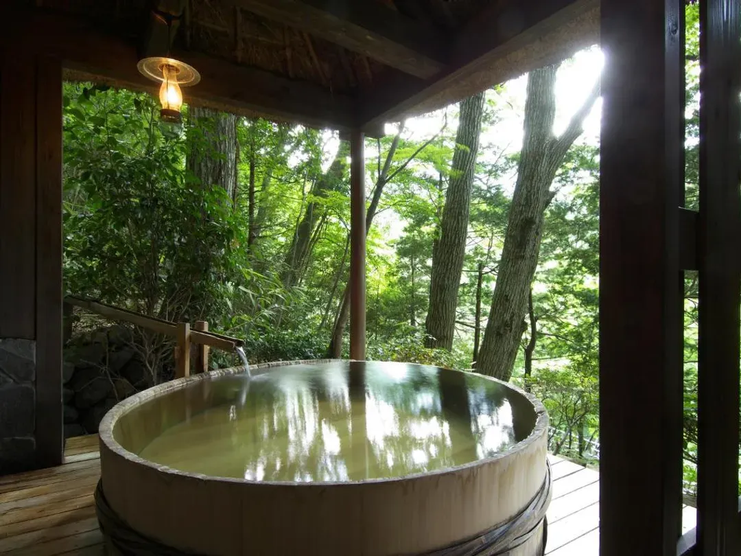 四季之湯座敷 武藏野別館｜近箱根登山鐵道&蛇骨橋-2