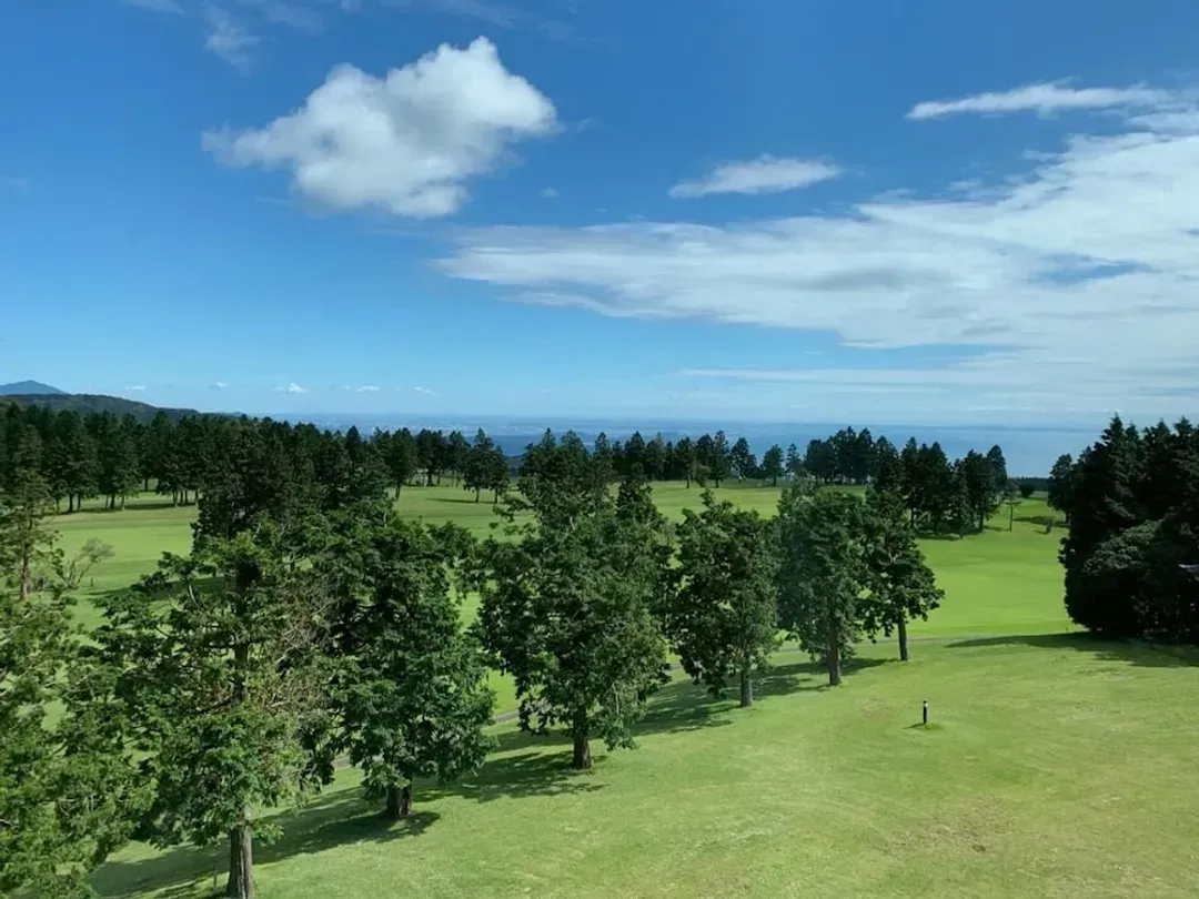 View from room
