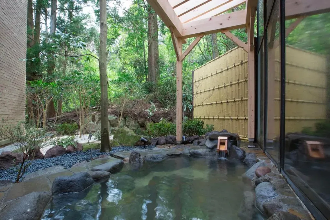 箱根小湧園 美山楓林｜箱根小湧園溫泉樂園步行1分-5