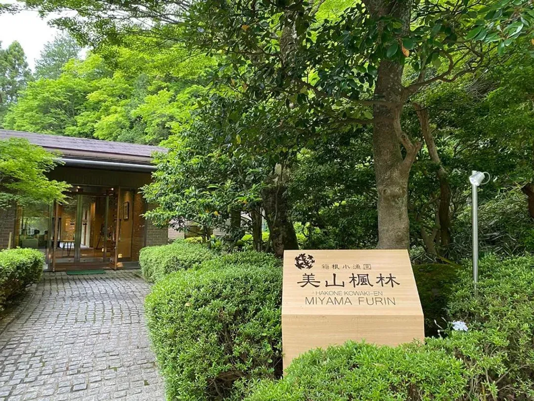 箱根小湧園 美山楓林｜箱根小湧園溫泉樂園步行1分-1