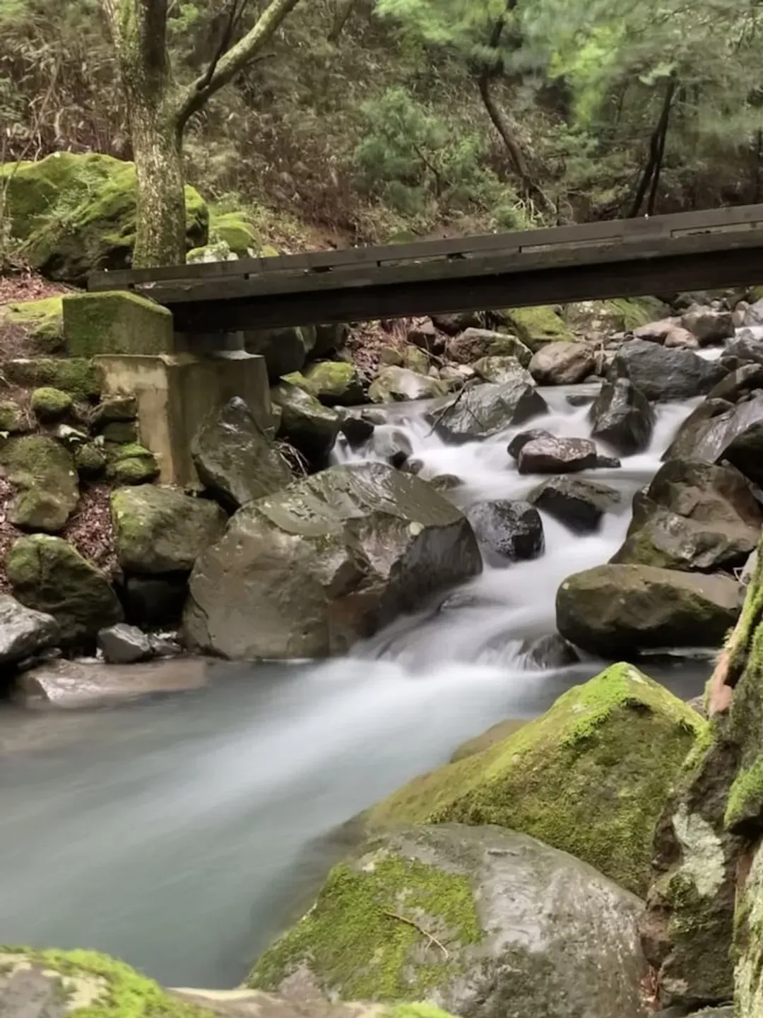 Hiking
