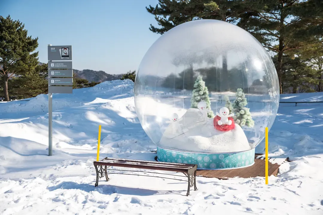 【首爾出發】洪川大明SONO滑雪度假村-冰雪樂園一天團｜趣味雪橇、冰球體驗 ★8/31前享早鳥價★-7