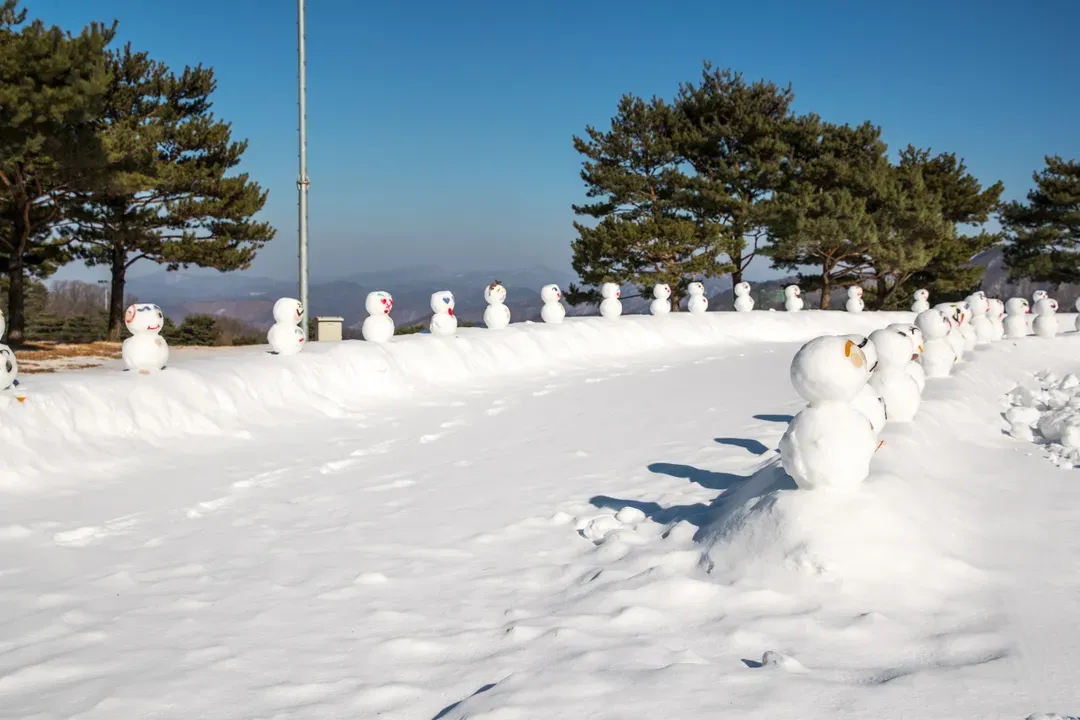 【首爾出發】洪川大明SONO滑雪度假村-冰雪樂園一天團｜趣味雪橇、冰球體驗 ★8/31前享早鳥價★-6
