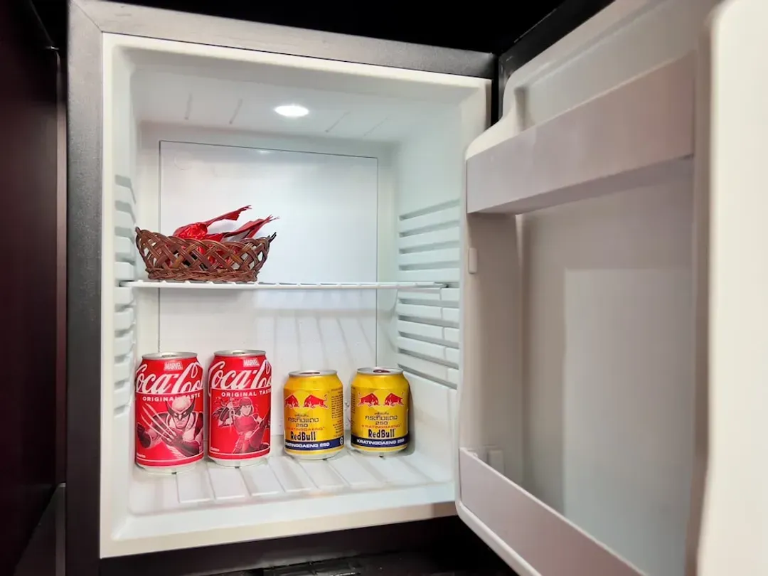 Mini-refrigerator