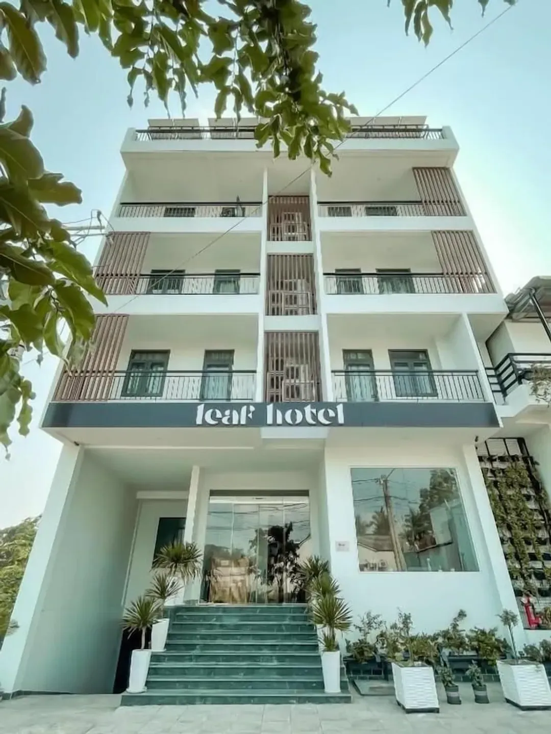 Primary image