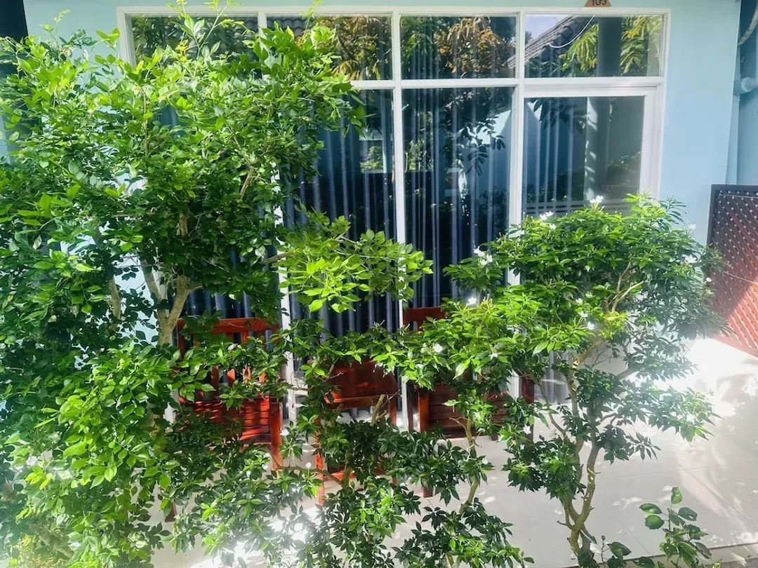 View from room