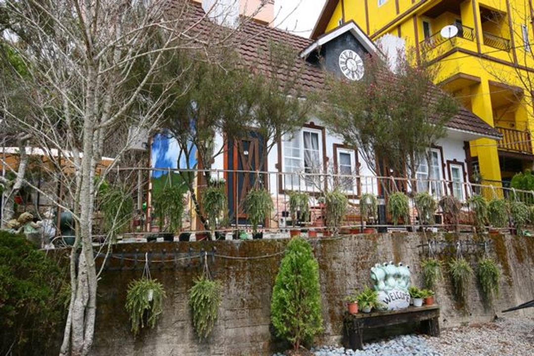 31 Homestay