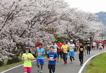 【2026佐賀櫻花馬拉松】參賽權＋超值精選2晚住宿