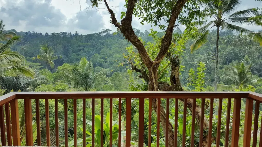 View from room