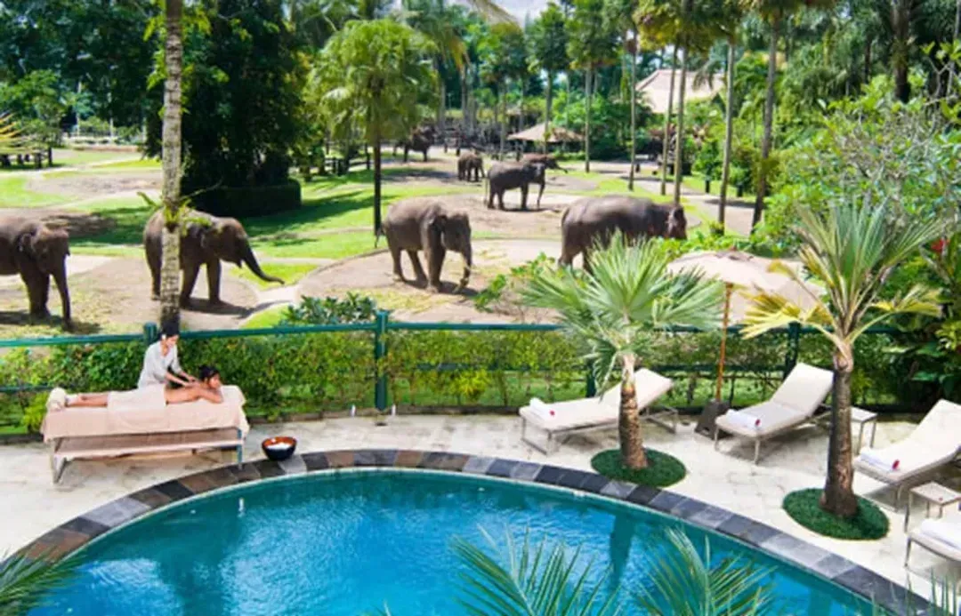 Outdoor pool