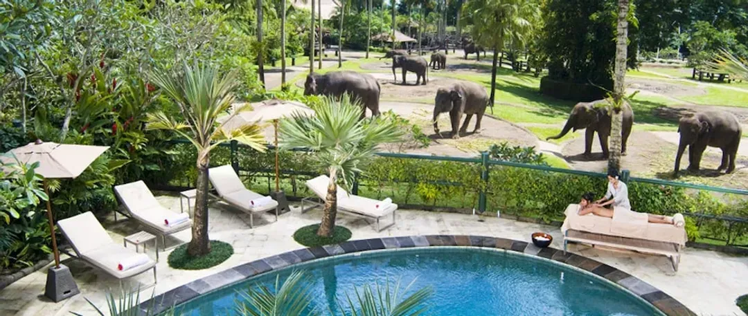 Outdoor pool