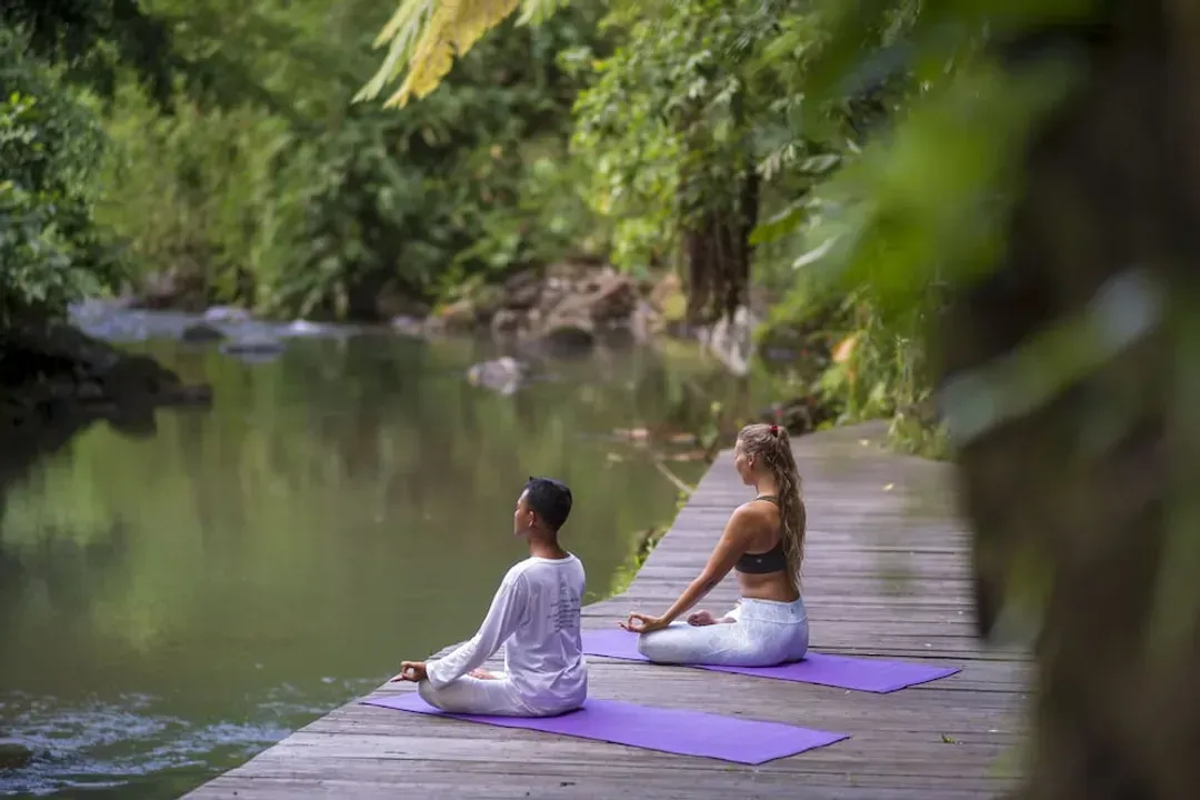 Bali Province(Bali Island)-Adiwana Svarga Loka